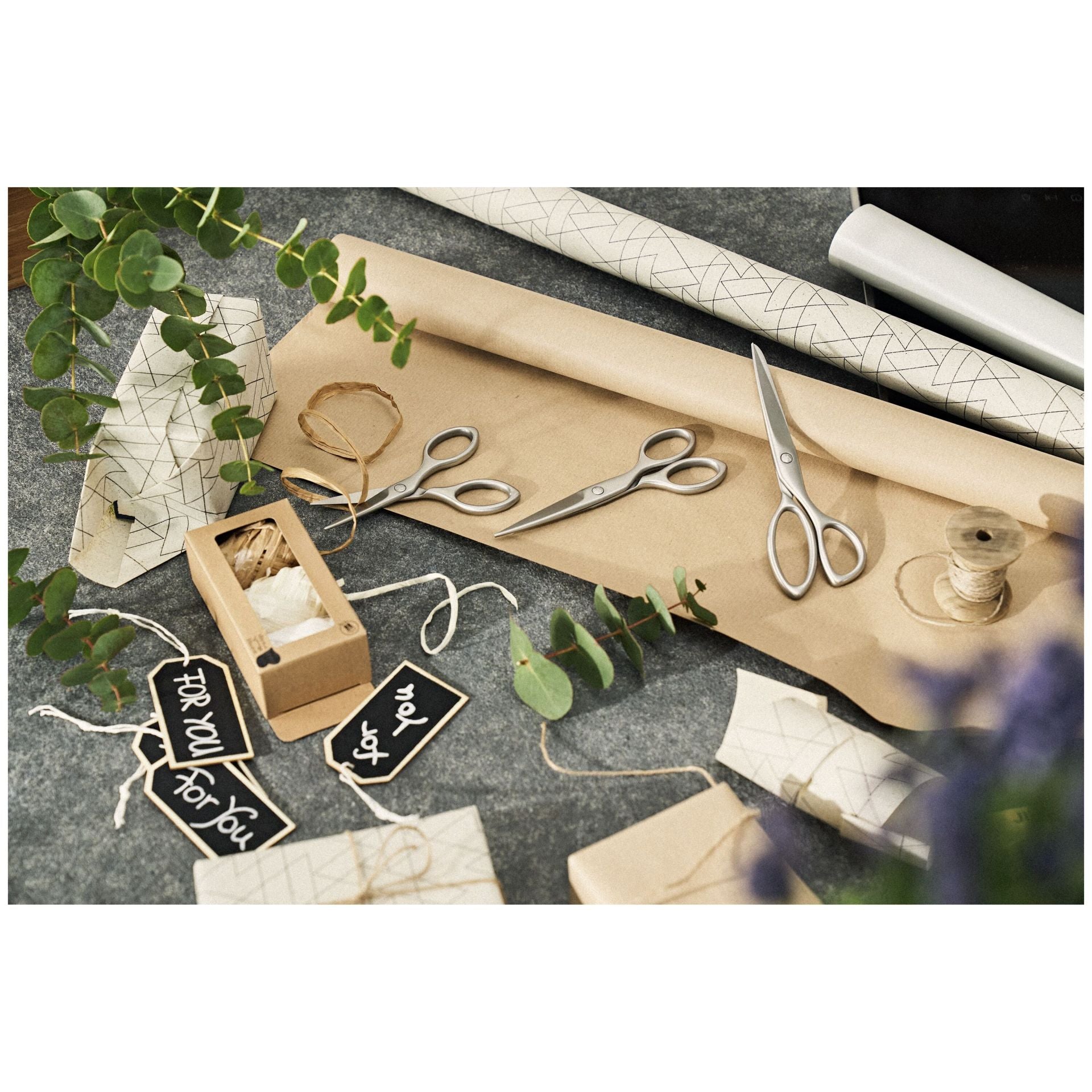 Zwilling Twin Select Huishoudschaar - 16 cm op witte achtergrond, rechte weergave