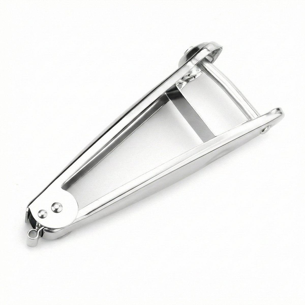 Eppicotispai Aluminium Olijf- en Kersenontpitter