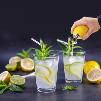 Westmark Citroentuit, zilver, gebruikt om citroensap in een longdrinkglas met munt en limoen te persen