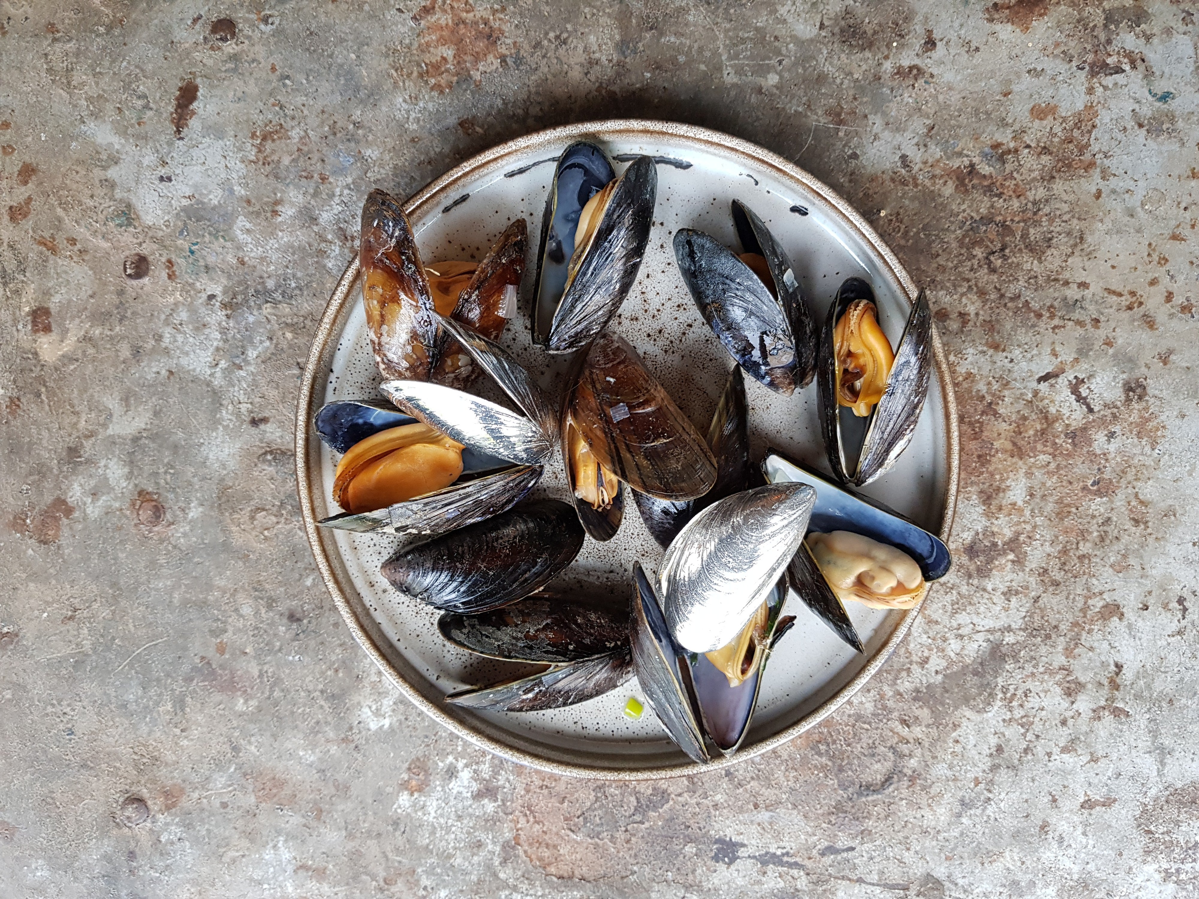 Bord met gekookte mosselen van bovenaf gezien op een grijze ondergrond