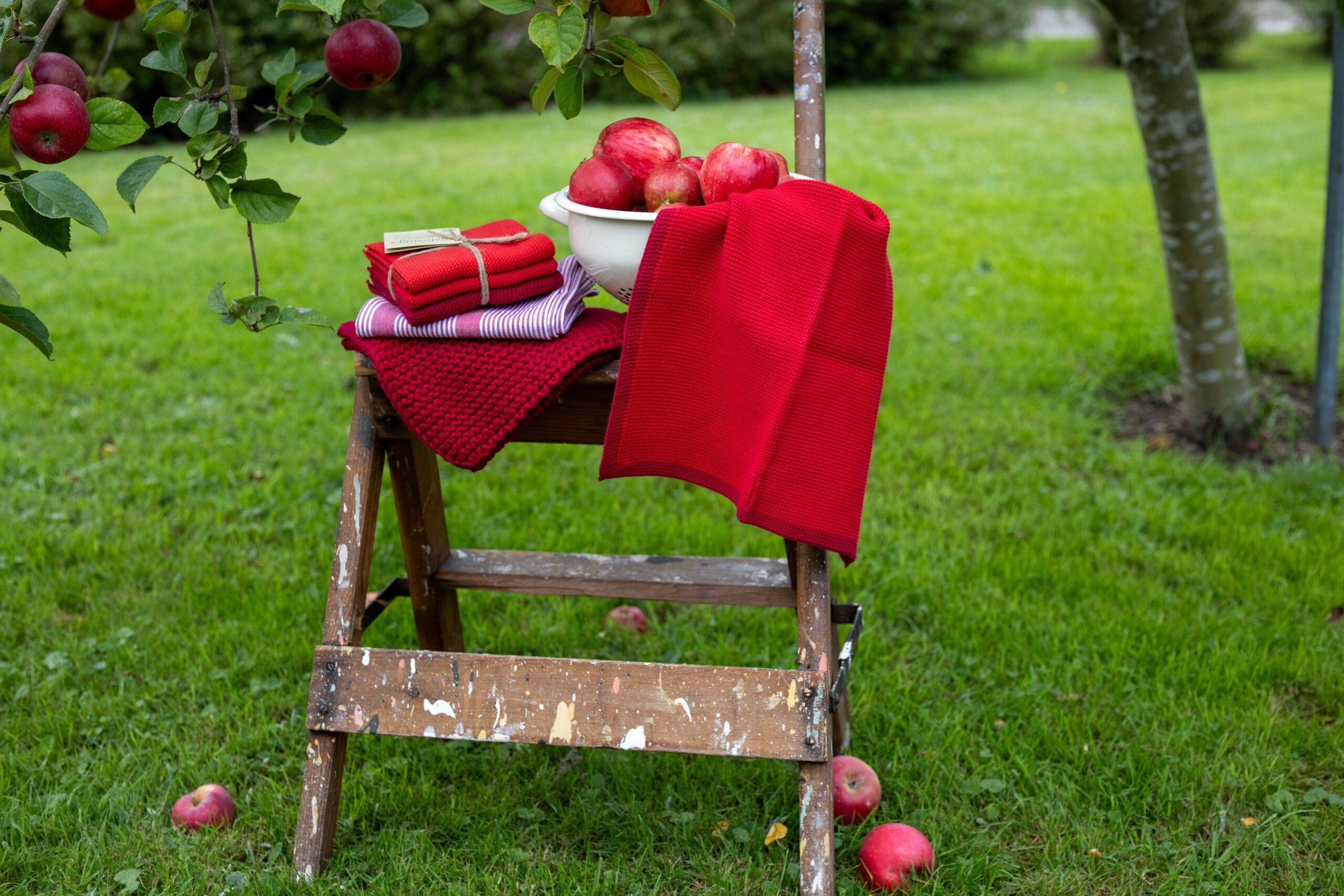 Solwang Design Vaatdoekjes set van 3 - Rood Combi lifestylefoto in een boomgaard: op een houten opstapladder ligt een stapel rode doekjes samengebonden met touw, terwijl een los rood doekje over de rand van een wit emaille vergiet met appels hangt, met een appelboom op de achtergrond.