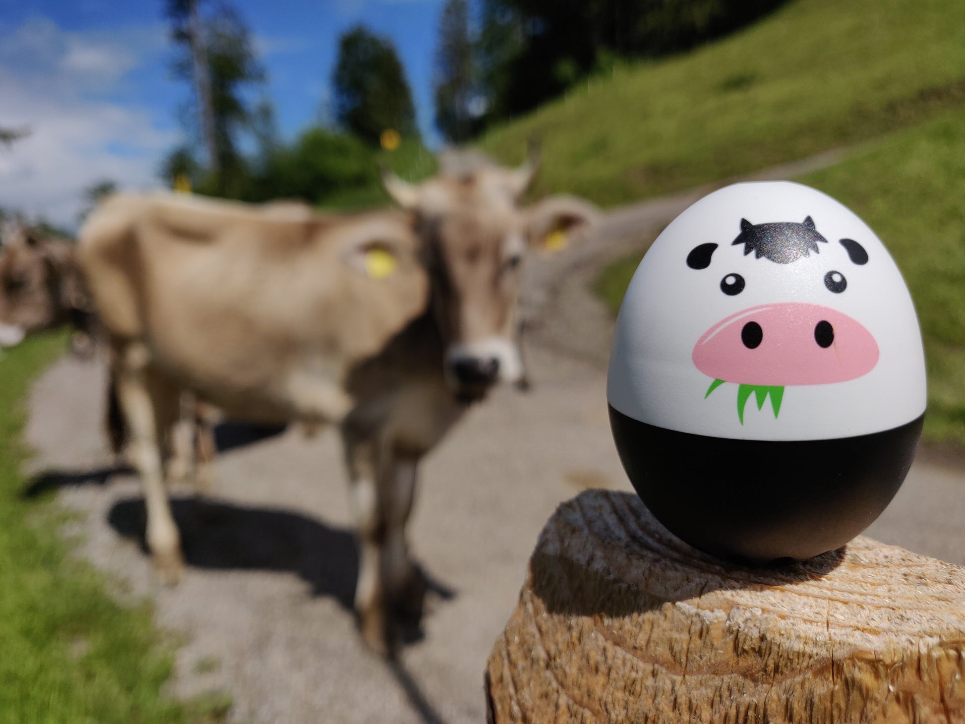Brainstream Piep Ei - Moo