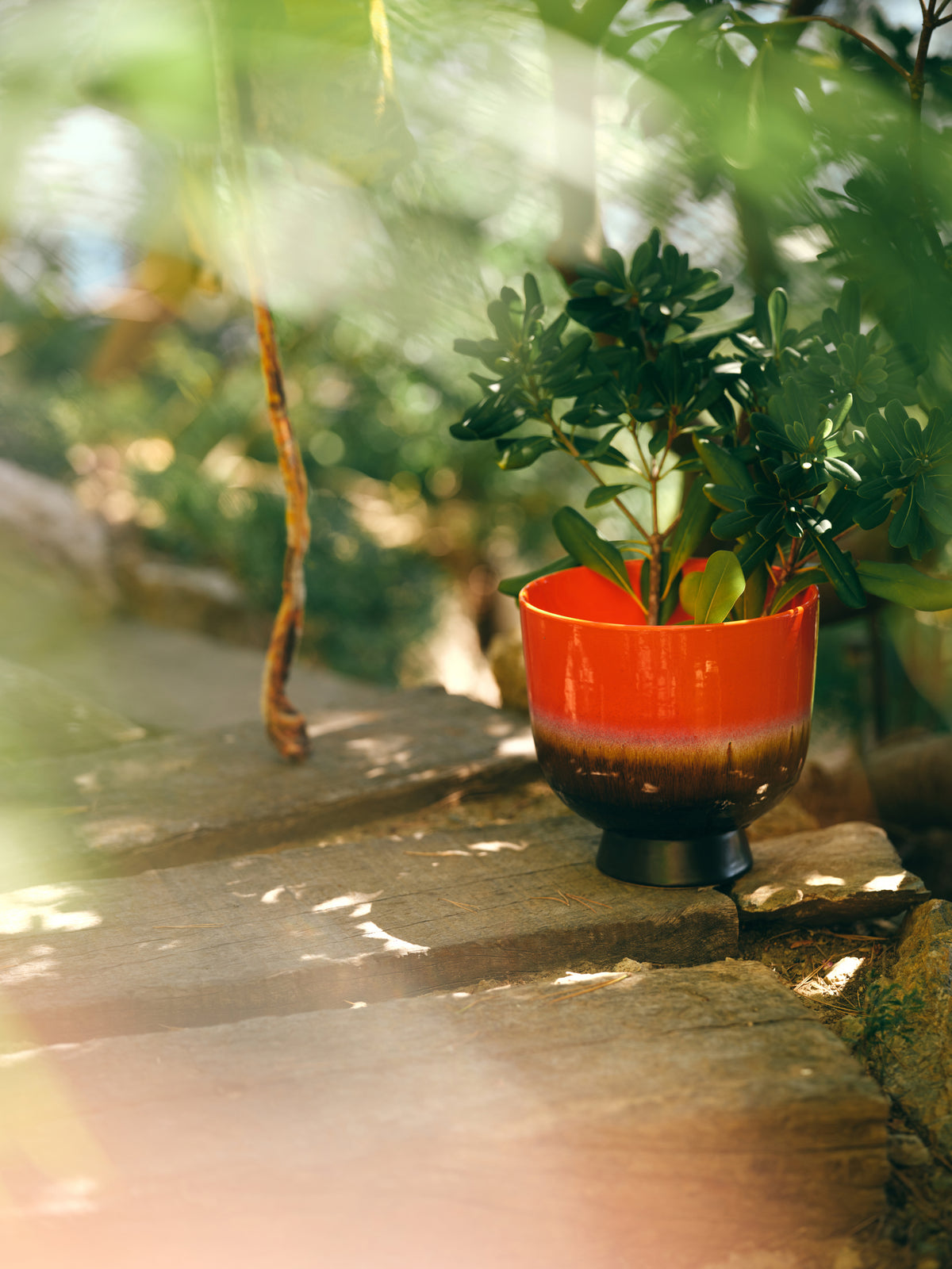 HKLiving Retro Bloempot Cherry Red buiten tussen planten