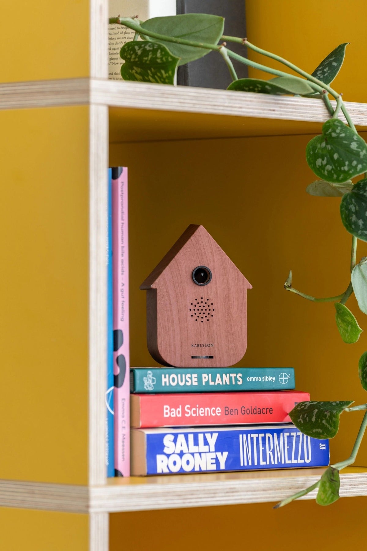 Donker houtkleurig Karlsson vogelhuisje op een stapel boeken in een boekenkast met een plant ernaast
