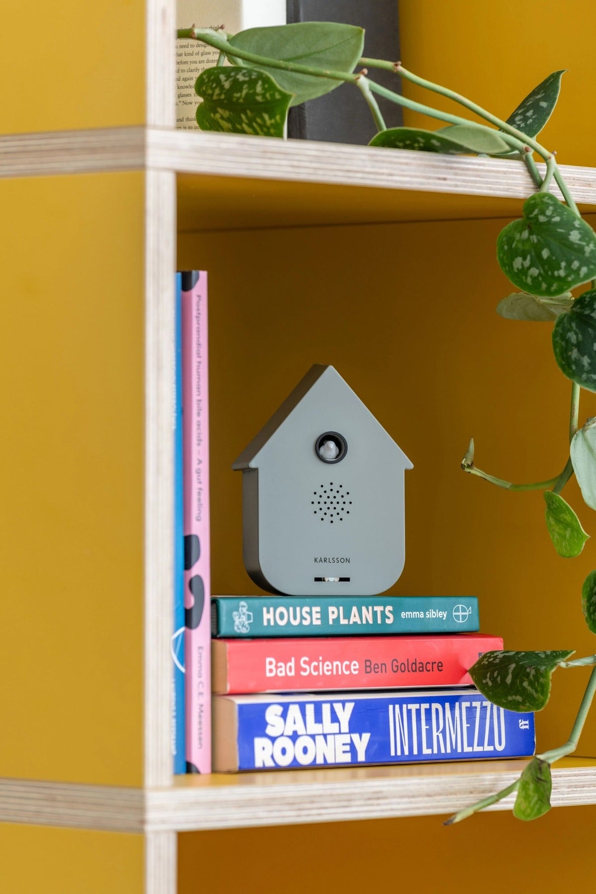 Grijs Karlsson vogelhuisje op een stapel boeken in een boekenkast met een plant ernaast