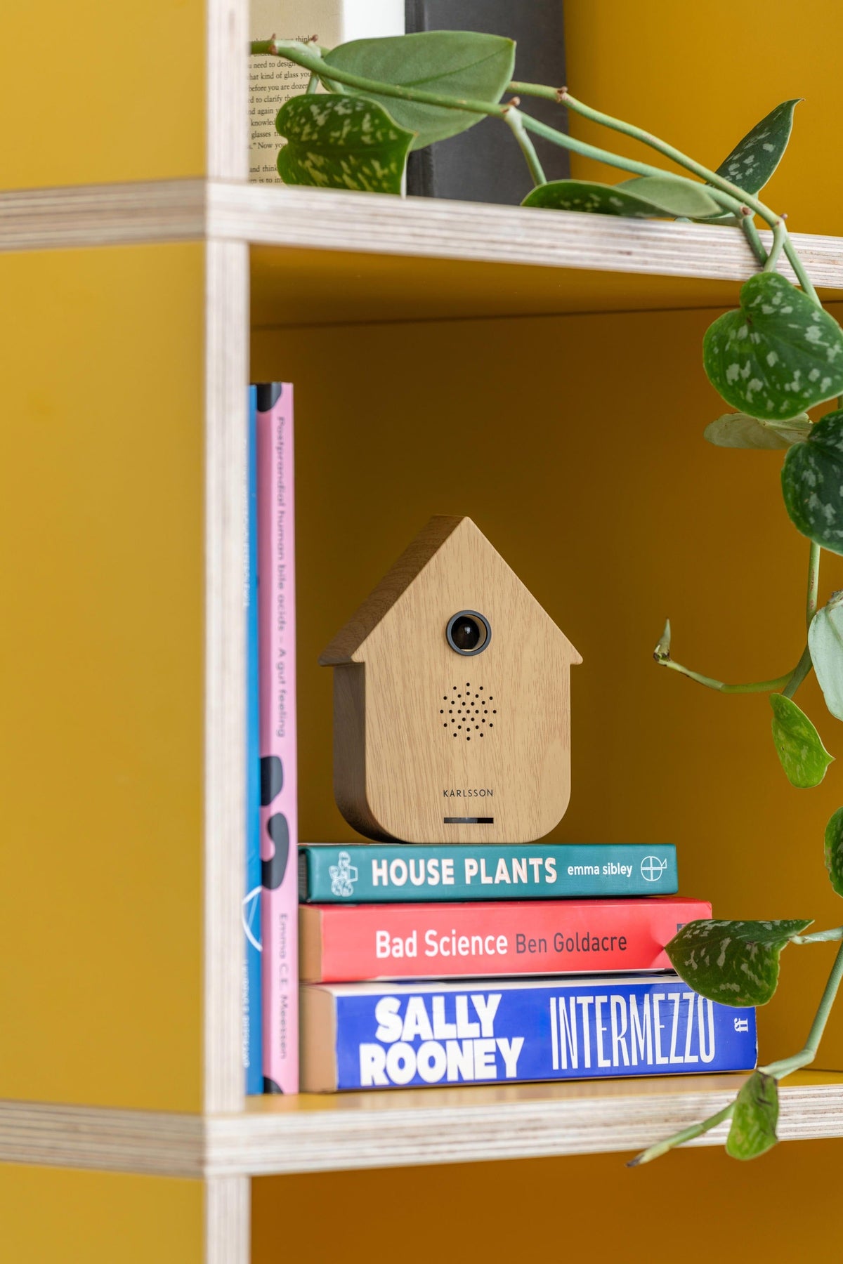 Naturel houtkleurig Karlsson vogelhuisje op een stapel boeken in een boekenkast met een plant ernaast