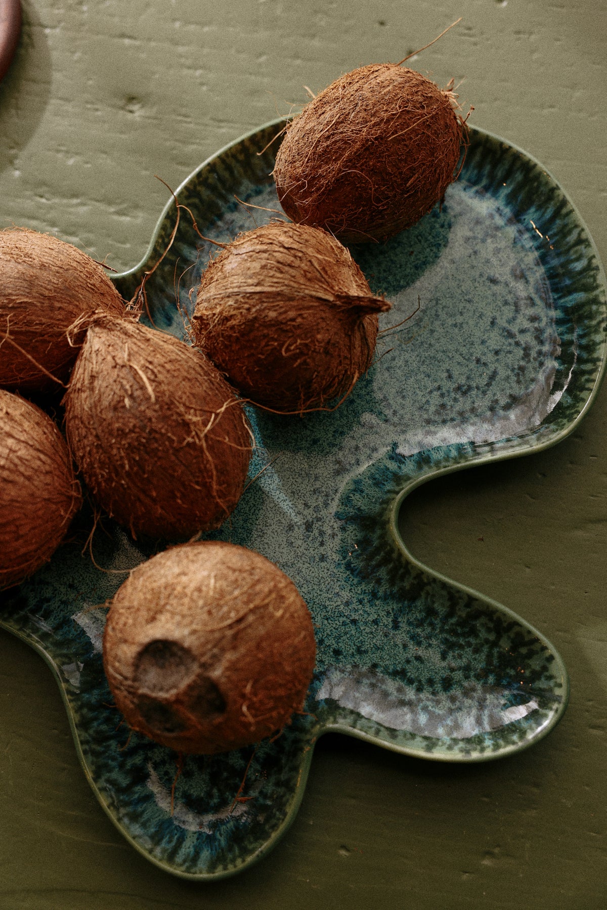 HKLiving Shell Bord Teal met kokosnoten op een donkere ondergrond