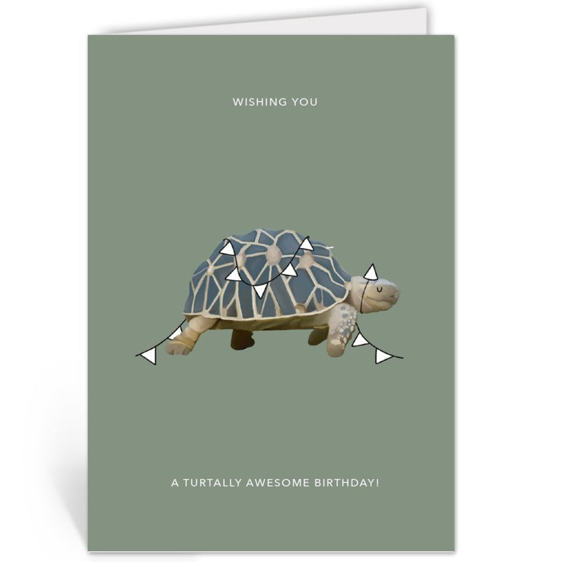 Wenskaart met een schildpad versierd met een vlaggenlijn, tekst Wishing you a turtally awesome birthday, op groene achtergrond
