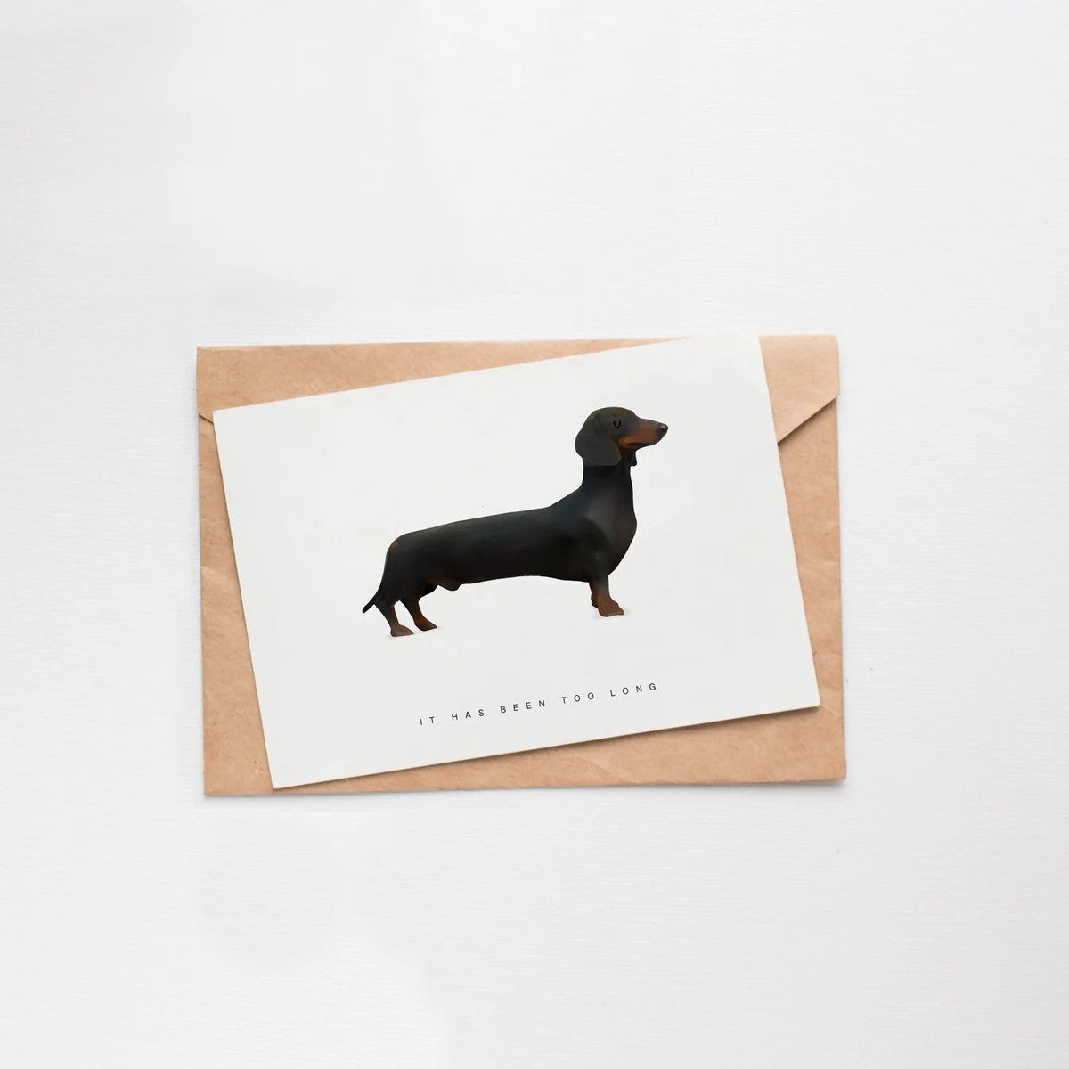 Wenskaart van Depre Design met een getekende tekkel en de tekst 'It has been too long', op een kraft envelop.