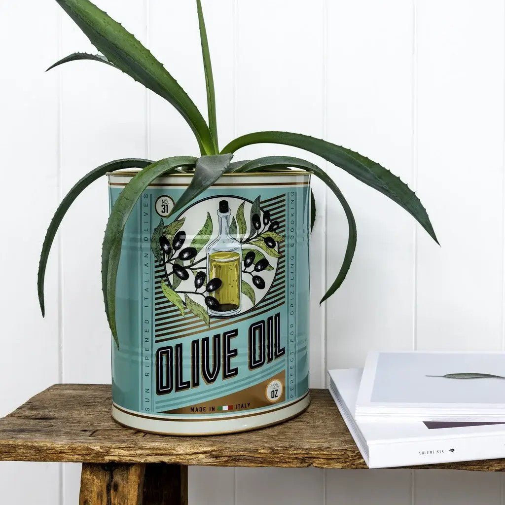 Turquoise Olive Oil-blik met een aloëplant erin, op een houten bankje voor een witte plankenwand naast een stapel boeken