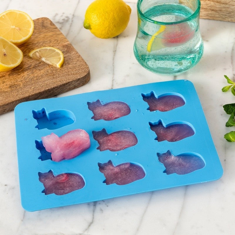 Blauwe ijsblokjesvorm met roze kattenvormige ijsblokjes waarvan er één is losgedrukt, naast een glas water met citroen en muntblaadjes