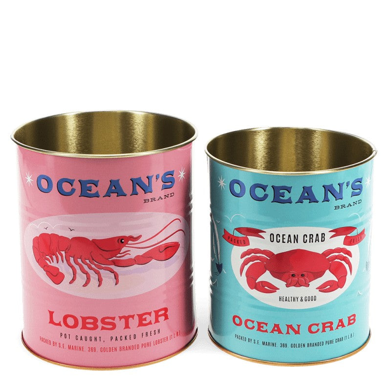 Rex Opbergblikken Medium 2-delig - Ocean's Brand op witte achtergrond