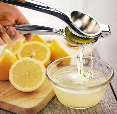 Woerdman Citruspers RVS - 20 cm