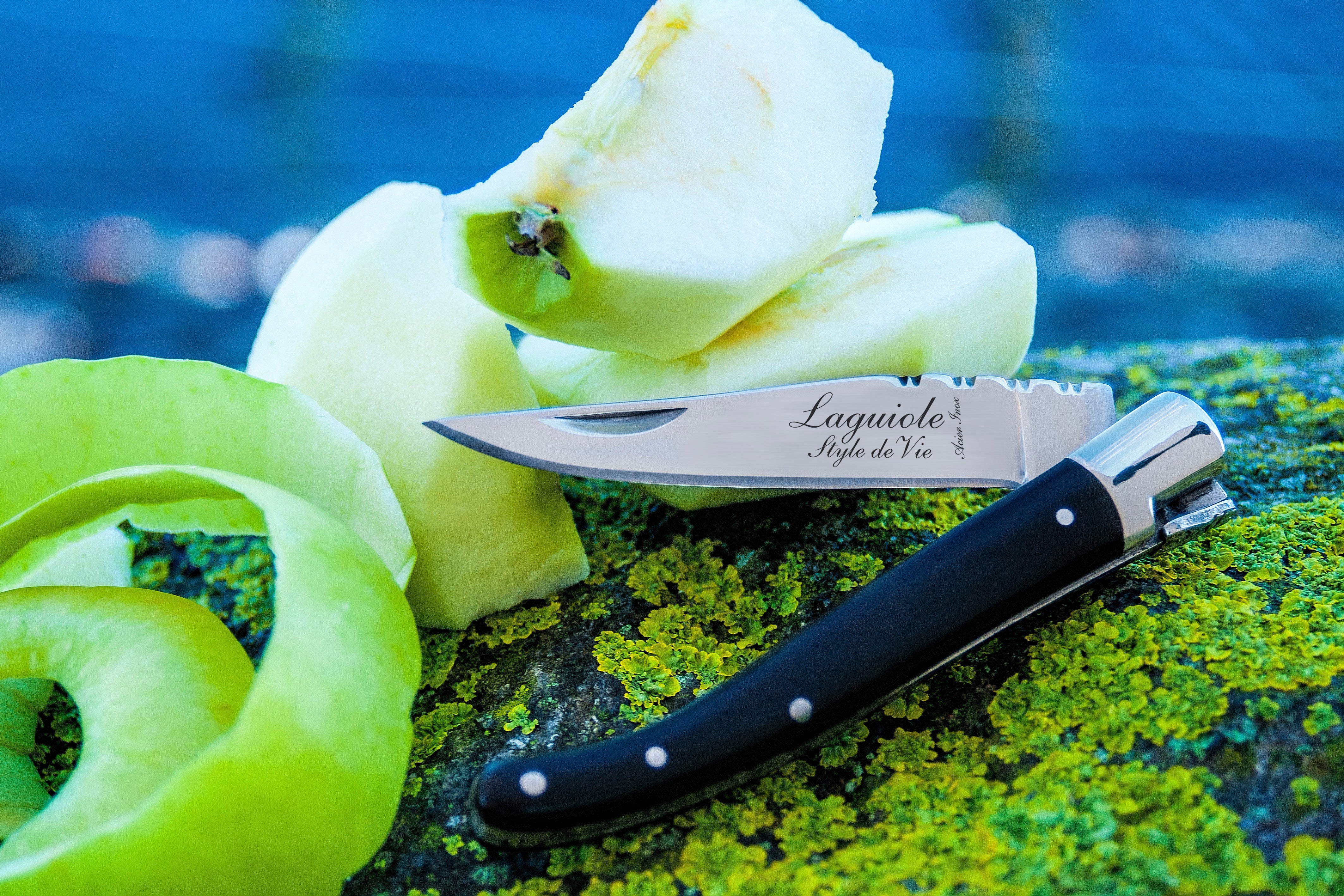 Laguiole Style de Vie Luxury Line Zakmes - Ebbenhout